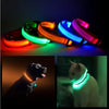 LED PET Safety Halo Style Collar - Pawsome Gadgets – Smart Accessories for Pets