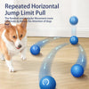 Interactive Bouncing Ball For Dogs,Automatic Smart Toy, Self-moving Rotating Stimulating Pet Entertainment, Noise-Reducing Urchin Cover,USB Rechargeable Dog Toy, Dog Electric Interactive Toy - Pawsome Gadgets – Smart Accessories for Pets
