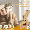 Cat Wheel 6-in-1 Cat Sports Wheel, Upgraded Indoor Cat Wheel Sports Device - Pawsome Gadgets – Smart Accessories for Pets