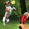 Pet Food Catapult Feeder – Handheld Treat Launcher for Dogs & Cats - Pawsome Gadgets – Smart Accessories for Pets