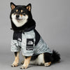 Dog Noodles Pet Shell Jacket - Pawsome Gadgets – Smart Accessories for Pets