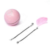 LED Laser Electronic Rolling Pet Funny Cat Toy Ball - Pawsome Gadgets – Smart Accessories for Pets