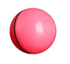 LED Laser Electronic Rolling Pet Funny Cat Toy Ball - Pawsome Gadgets – Smart Accessories for Pets