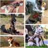 Luxury Camouflage Neoprene Dog Harness & Leash Set - Pawsome Gadgets – Smart Accessories for Pets