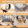 Cat Wheel 6-in-1 Cat Sports Wheel, Upgraded Indoor Cat Wheel Sports Device - Pawsome Gadgets – Smart Accessories for Pets