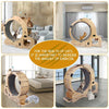 Cat Wheel 6-in-1 Cat Sports Wheel, Upgraded Indoor Cat Wheel Sports Device - Pawsome Gadgets – Smart Accessories for Pets