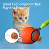 Smart Interactive Cat Ball - Rechargeable Automatic Toy for Cats - Pawsome Gadgets – Smart Accessories for Pets