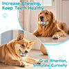 Easter Egg Toys For Pet GREEN And RED Interactive Dog Egg Toy Short-Term Play Design For Aggressive Chewers, Chew Toy With Sounds Modules Squeaky Dog Toy For Small And Medium Dogs, H - Pawsome Gadgets – Smart Accessories for Pets