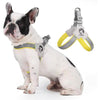 Adjustable Pet Cat & Dog Harness with Leather Leash - Pawsome Gadgets – Smart Accessories for Pets