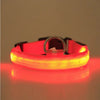 LED PET Safety Halo Style Collar - Pawsome Gadgets – Smart Accessories for Pets