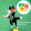 Outdoor Interactive Dog Toy - Pawsome Gadgets – Smart Accessories for Pets