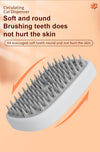 Hand Held Spray Comb – 2-in-1 Pet Grooming Brush with Mist Function - Pawsome Gadgets – Smart Accessories for Pets