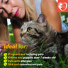 Flea And Tick Prevention For Dogs Cats Rabbits Natural Flea Treatment Home Pest Control Topical Flea Mosquito Repellent For Puppy Kitten 3 Drops For Small And Large Pet - Pawsome Gadgets – Smart Accessories for Pets