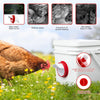 Automatic Chicken Water Cups & Feeder Set – 6 Feeders & 6 Waterers - Pawsome Gadgets – Smart Accessories for Pets
