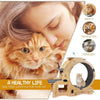 Cat Wheel 6-in-1 Cat Sports Wheel, Upgraded Indoor Cat Wheel Sports Device - Pawsome Gadgets – Smart Accessories for Pets