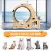 Cat Wheel 6-in-1 Cat Sports Wheel, Upgraded Indoor Cat Wheel Sports Device - Pawsome Gadgets – Smart Accessories for Pets