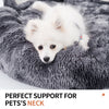 Cute Dog Bear Paw Shape Dog Bed, Dog Beds & Furniture For Small And Medium Dogs, Cozy Plush Cute Cat Beds For Indoor Cats - Pawsome Gadgets – Smart Accessories for Pets