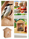 DIY Transparent Bird House for Window Birdwatching - Pawsome Gadgets – Smart Accessories for Pets