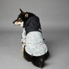 Dog Noodles Pet Shell Jacket - Pawsome Gadgets – Smart Accessories for Pets