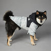 Dog Noodles Pet Shell Jacket - Pawsome Gadgets – Smart Accessories for Pets