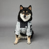 Dog Noodles Pet Shell Jacket - Pawsome Gadgets – Smart Accessories for Pets