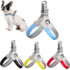 Adjustable Pet Cat & Dog Harness with Leather Leash - Pawsome Gadgets – Smart Accessories for Pets